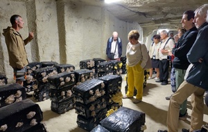 Visite champignonnière et cité souterraine