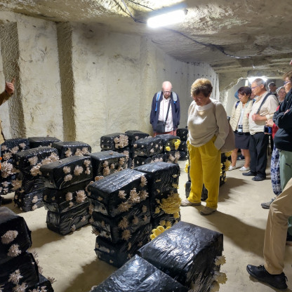 Séjour Amboise 2026 - Visite champignonnière et cité souterraine